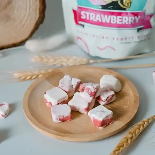Hanya Freeze Dried Yogurt Bites STRAWBERRY