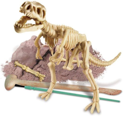 4M Dig A Dinosaur Skeleton Tyrrannosaurus Rex