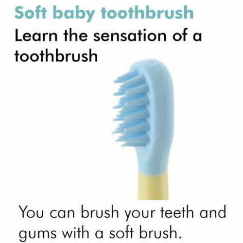 Richell Toothbrush - Baby Toothbrush 8M+ 1