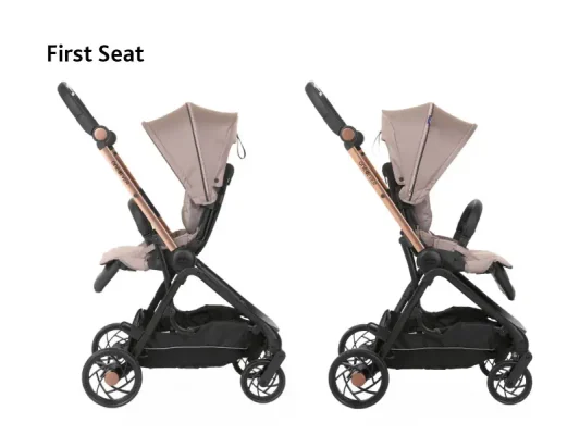 Chicco One4Ever Stroller