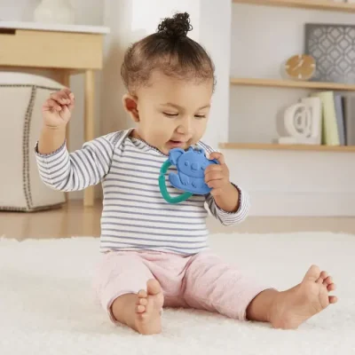 Fisher-Price Newborn Teether GYN23