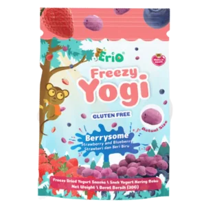 Erio Freezy Yogi Freeze Dried Yogurt Snacks BERRYSOME