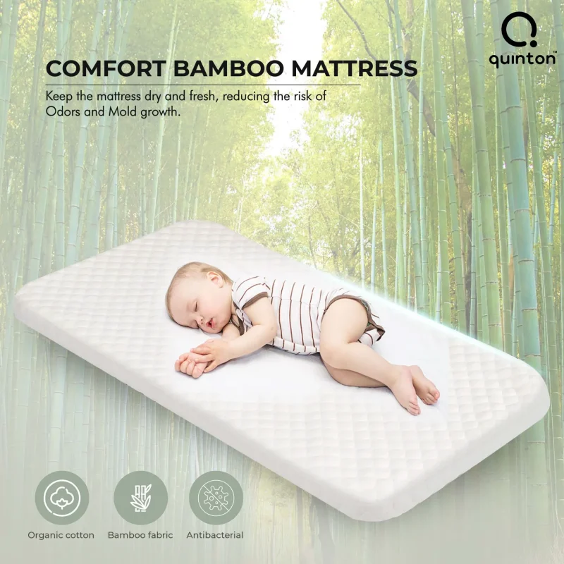 Quinton Dream2Gether Co-Sleeping Crib